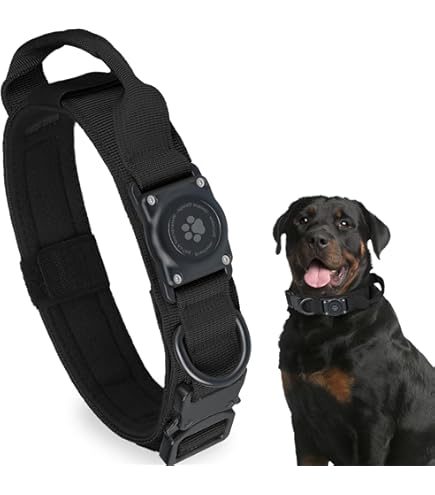 Amazon.co.jp: motto_dog 01 X motto dog : ペット用品